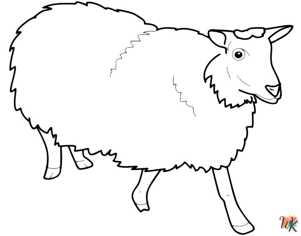 Pecora 19 Disegni da Colorare Pecora 17